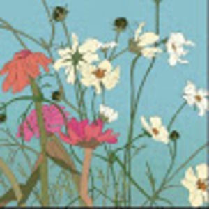 Meet your Posher, Daniela